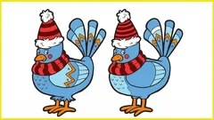 Nur 30 % der Menschen schaffen es, alle 5 Unterschiede innerhalb von 10 Sekunden zu finden