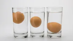 Iss keine verdorbenen Eier: Dieser 10-Sekunden-Test zeigt dir, ob sie frisch sind