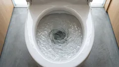 Bakterien aus der Toilette landen sogar auf Ihrer Zahnbürste – so können Sie das vermeiden