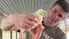 Ein 27-jähriger Banker gab seinen 150.000-Dollar-Job auf und ging Hühner züchten – und hier ist der Grund dafür